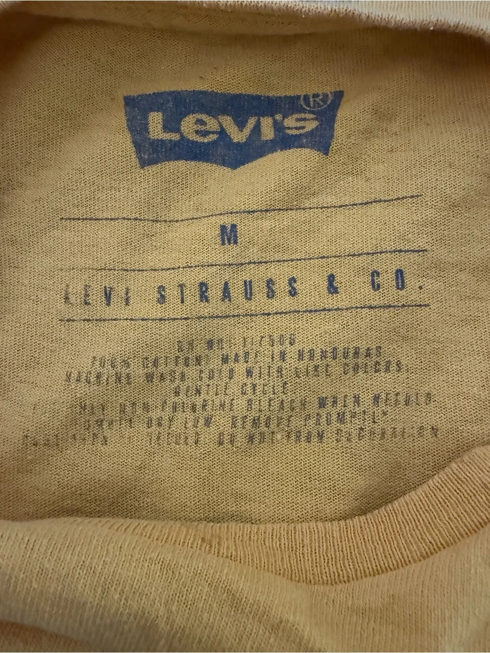 Levi's Mustard Long Sleeve Tee with Bear Mountain Graphic